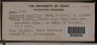 Image Associated With the Occurence